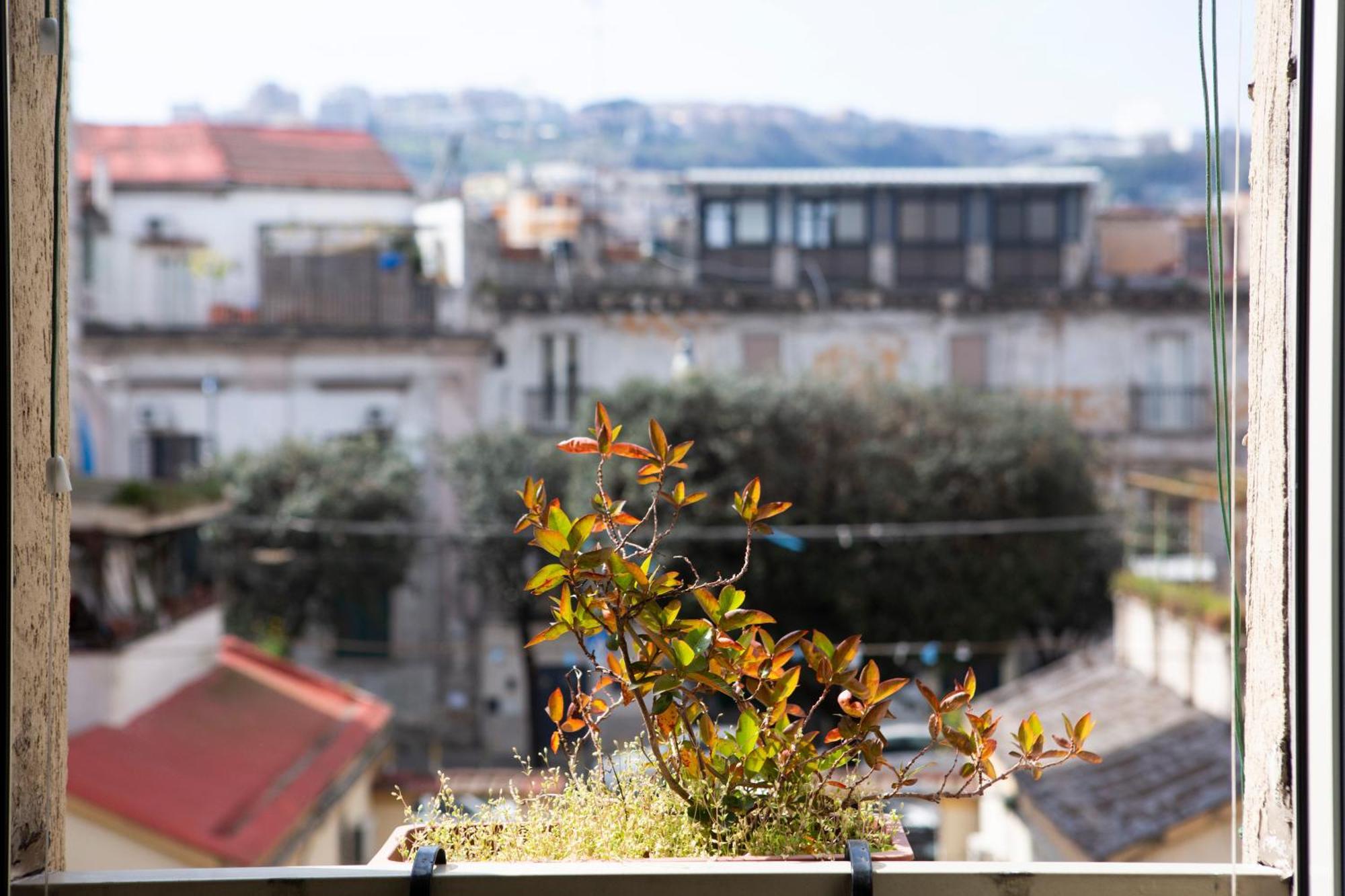Bnb Etnuvio, Double Rooms In Napoli Bagian luar foto